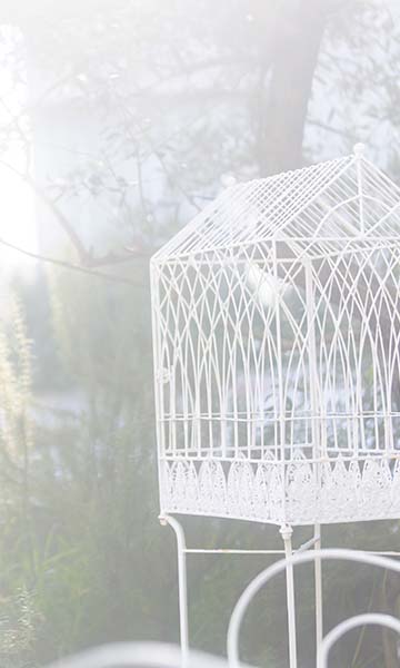 GARDEN MAXI CLUTCH BAG