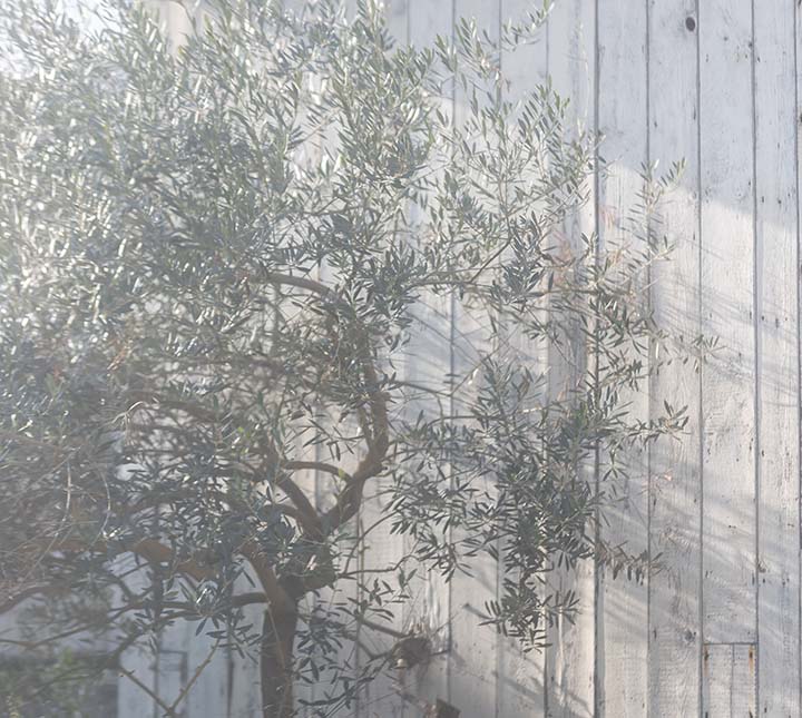 GARDEN MAXI CLUTCH BAG